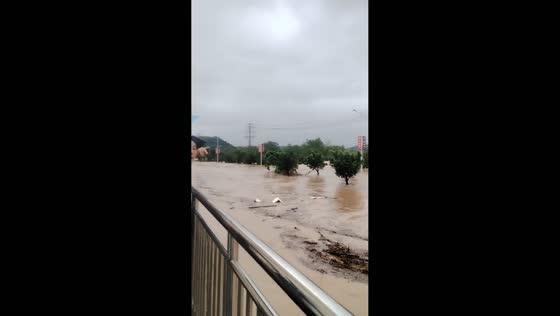Raging floodwater carries debris down Baibuxi River in Fujian, China