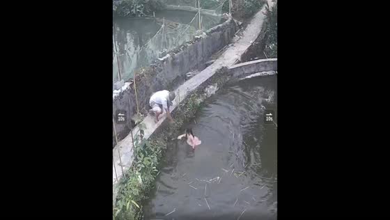 Young girl loses her footing and falls into fish pond while distracted in Sichuan, China