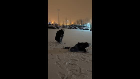 Woman slips while trying to kick snowball in Jiangxi, China