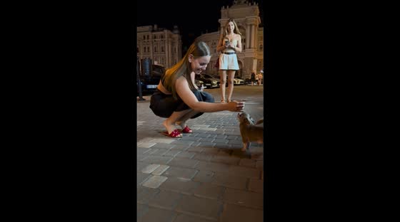 Little dog turns from calm to playful barking in Odessa, Ukraine