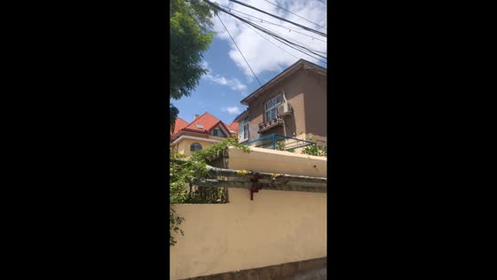 Dog repeatedly jumps to peek over wall in Shandong, China