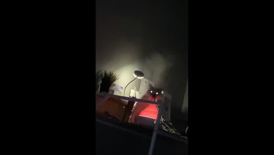 Cat’s spooky moment over humidifier in Bandung, Indonesia