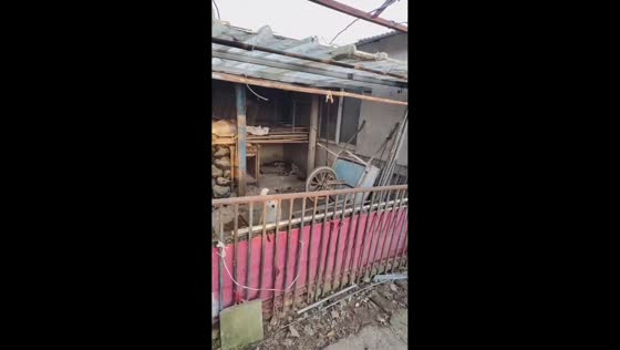 Dog plays with overturned two-wheeled handcart in Liaoning, China