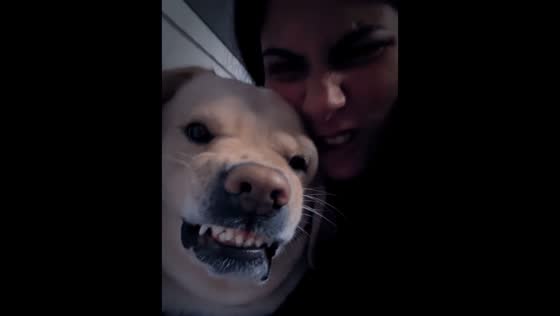 Dog shows teeth on command in funny video from New Delhi, India