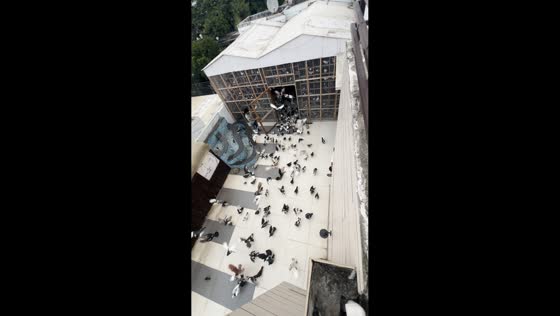 Man releases a large flock of pigeons in Delhi, India