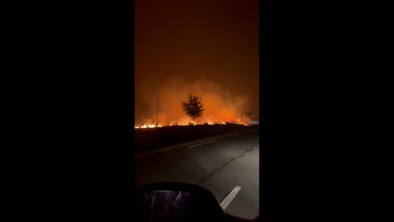 Massive wildfire engulfs forest in Audenge, France