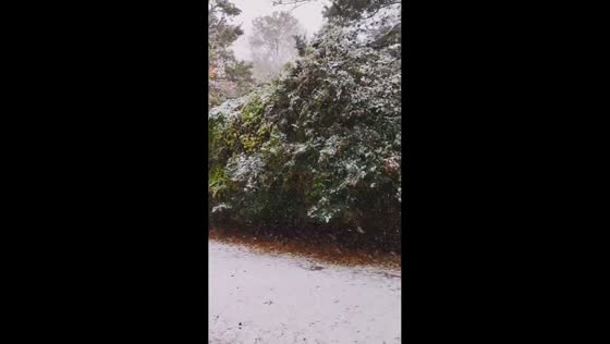 Winter snowfall sweeps through Williamsburg, Virginia, USA