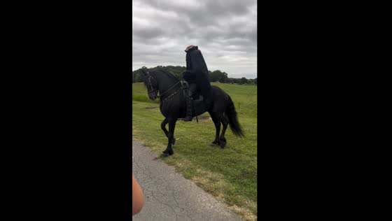 Halloween in Uptown Charlotte: headless horseman galloping through the woods