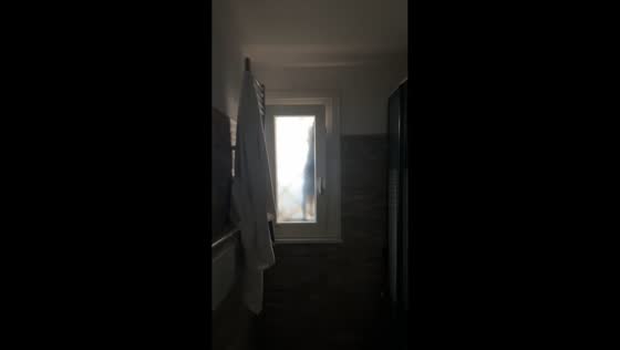 Cat attempts daring bathroom window entry in Rome, Italy