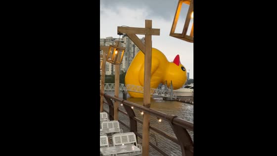 Inflatable duck takes flight in Ho Chi Minh City