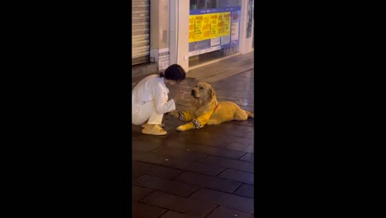 Stubborn dog hilariously refuses to walk and gets dragged along street in Hunan, China