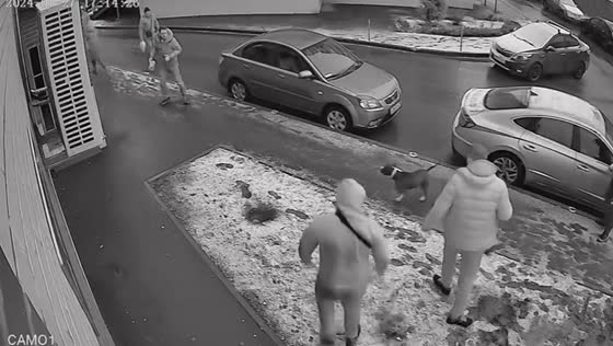 Brave bystanders rescue schoolgirl attacked by aggressive Staffordshire Terrier in Rostov-on-Don