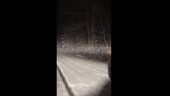 Winter's embrace: heavy snowfall blankets Savoy, Massachusetts
