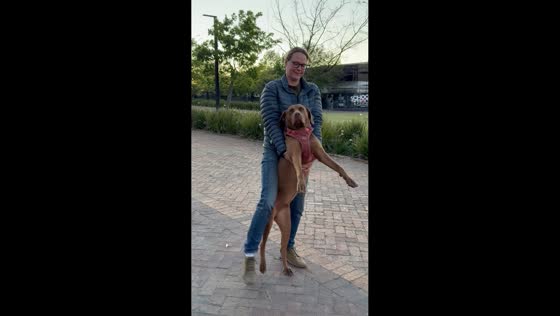 Stubborn rescue dog refuses to leave after an outing in Stellenbosch, South Africa