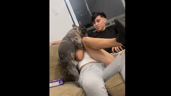 Dog's hilarious mating behavior captured in video in Venezuela