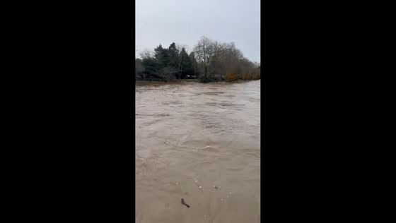 Cedar River flooding after atmospheric river in Renton, Washington, USA