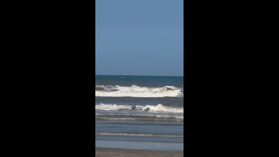 Dead whale floats near beach as waves move its body in Praia Grande, Brazil