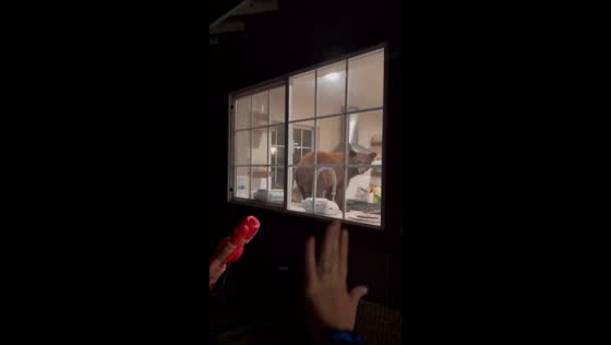 Bear enters kitchen during unexpected encounter in South Lake Tahoe