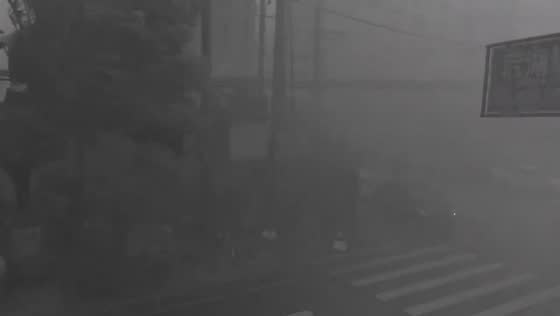 Torrential rain causes extremely poor visibility in Zhejiang, China