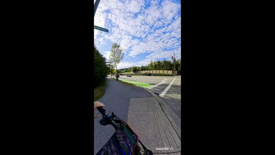 Dog falls from convertible while car turns at intersection in Coquitlam, Canada
