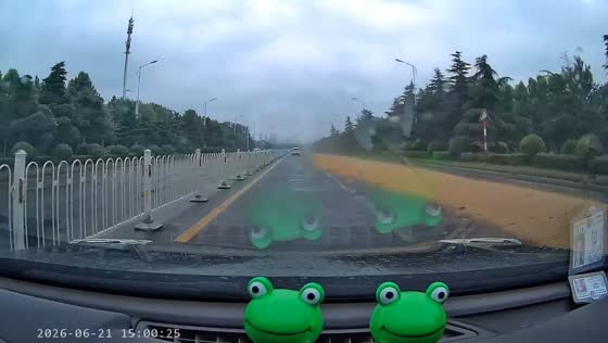 Driver alerts truck after wheat spills onto highway in Henan, China