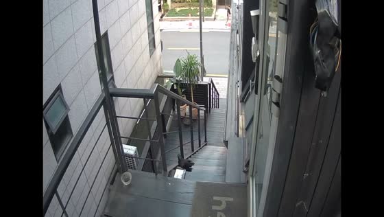 Crow steals package from doorstep in Seoul