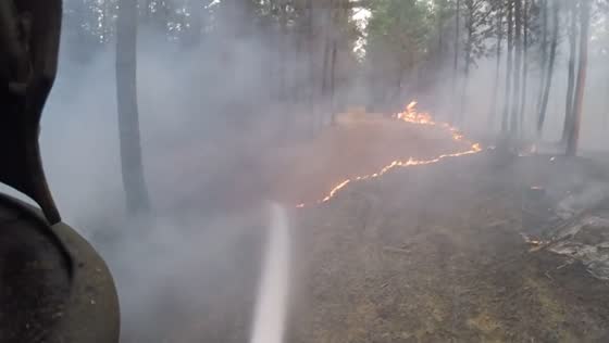 Firefighters brave flames in Ninhue, Chile