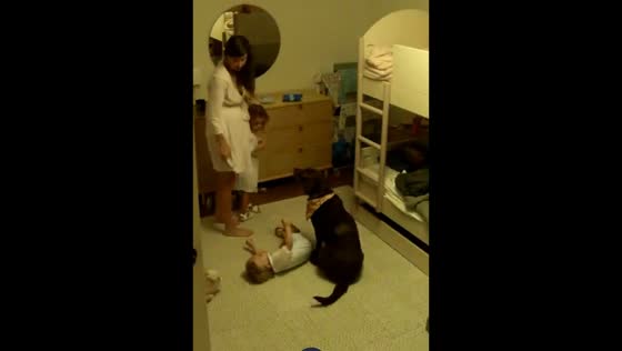 Dog saves child from fall in Atlanta, Georgia, USA