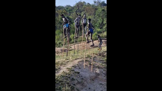 Stilt-walking boys: Banna tribe of Omo Valley, Ethiopia