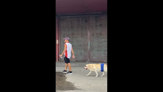 Stylish dog in sunglasses jogs alongside owner in Davao del Sur, Philippines