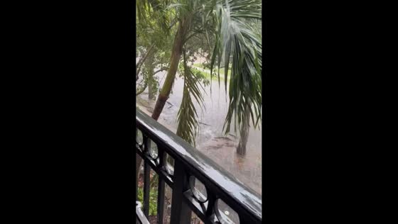 Street flooding after sudden downpour in Miami, Florida, USA