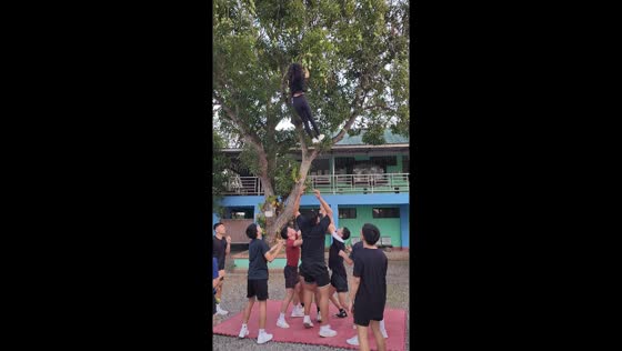 Cheerleaders perform impromptu 'basket toss' to harvest mangoes