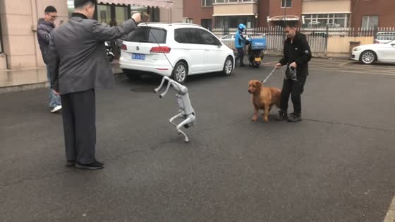 Dog backs away after encountering robo dog in Inner Mongolia, China