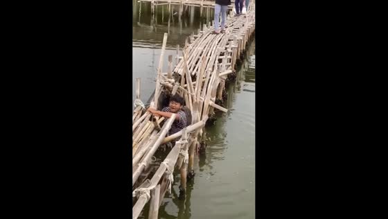 Bamboo bridge mishap: laughter ensues as friend's fishing attempt takes an unexpected plunge