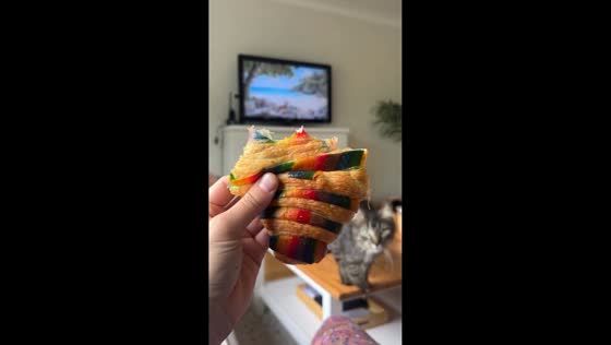 Sneaky kitten steals bite of rainbow croissant before pride parade in Winnipeg, Canada