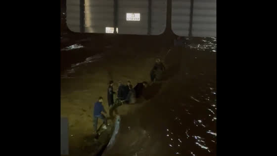 Flood rescue efforts underway at Sedaví bridge in Valencia