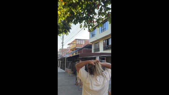 Magnitude-7.4 earthquake causes intense shaking in Pereira, Colombia