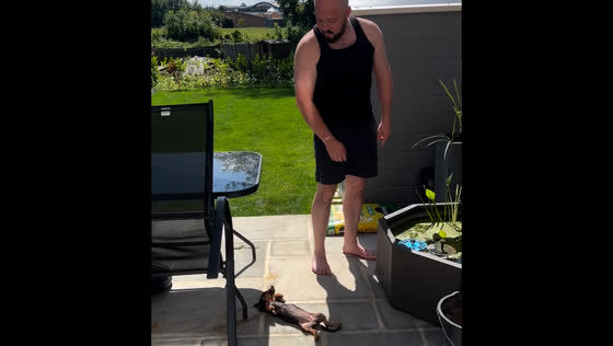 Dog acts innocent after being told not to eat pond plants
