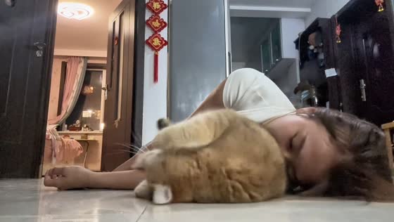Cat reacts to owner pretending to faint in Jiangsu, China