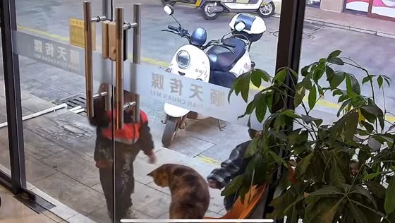 Child tries to open locked door to pet cat in Guangdong
