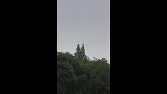 Thin column of smoke rises from treetop in Jiangsu, China