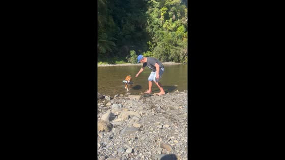Dog vs. speed boat: a playful battle on the river