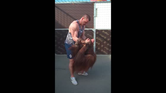 Workout in Pskov: primate joins exercise routine