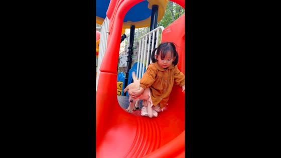 Little girl and dog share playful moment on slide in Henan, China
