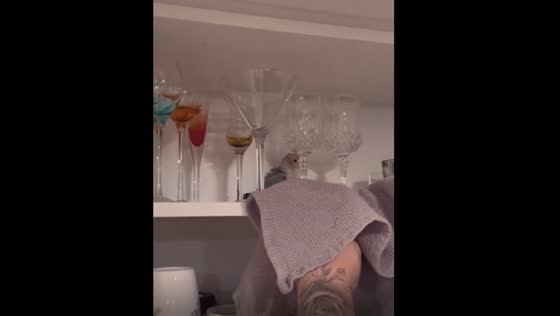Troublemaker Prince: the mischievous parrot's love for cupboards!