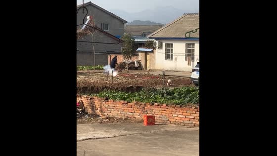 Dog runs to car to escape fireworks in Hubei, China