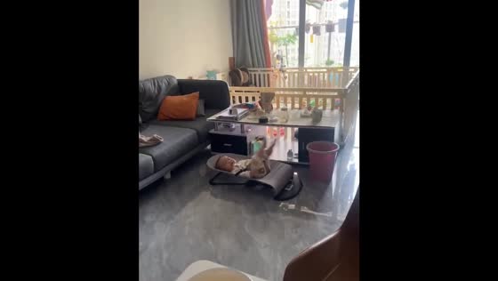Baby swings itself using legs in Guangdong, China