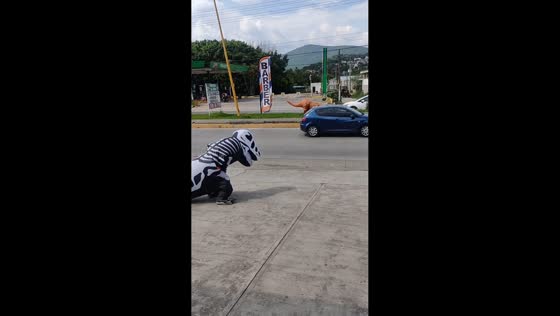 Dancing in inflatable dino costumes to promote barbershop in Jiutepec, Mexico