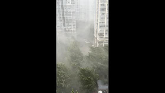 Torrential downpour creates near-whiteout conditions in Beijing, China