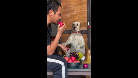 Dog prefers apple over onion: owner's hilarious encounter in Nepal